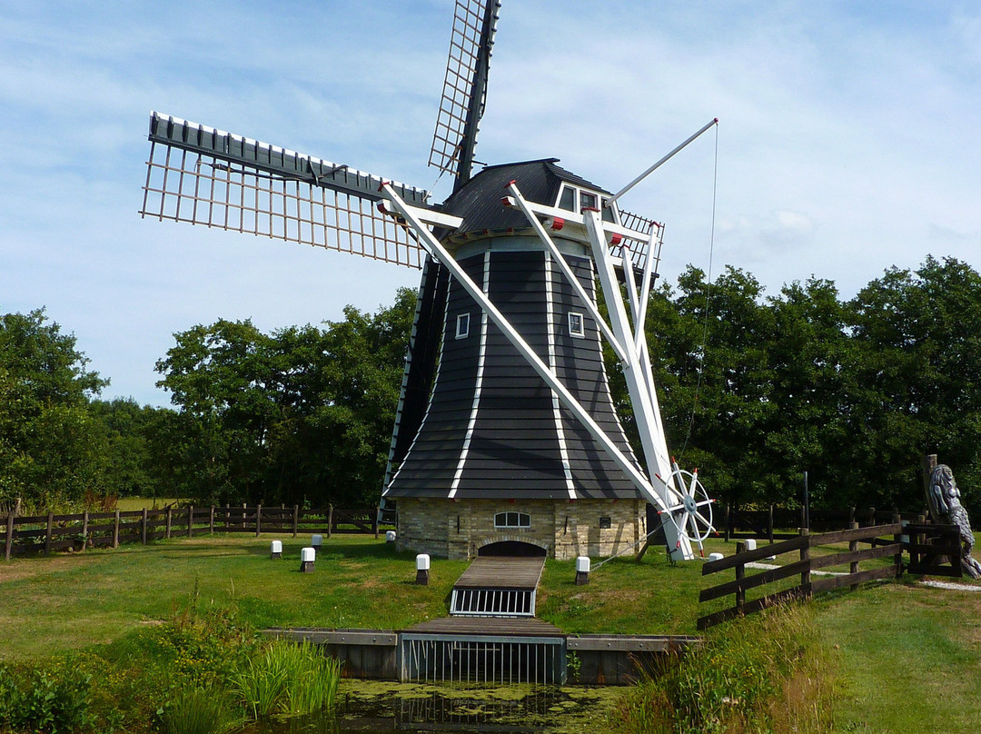 De Sûkerei-Damwald必去景点