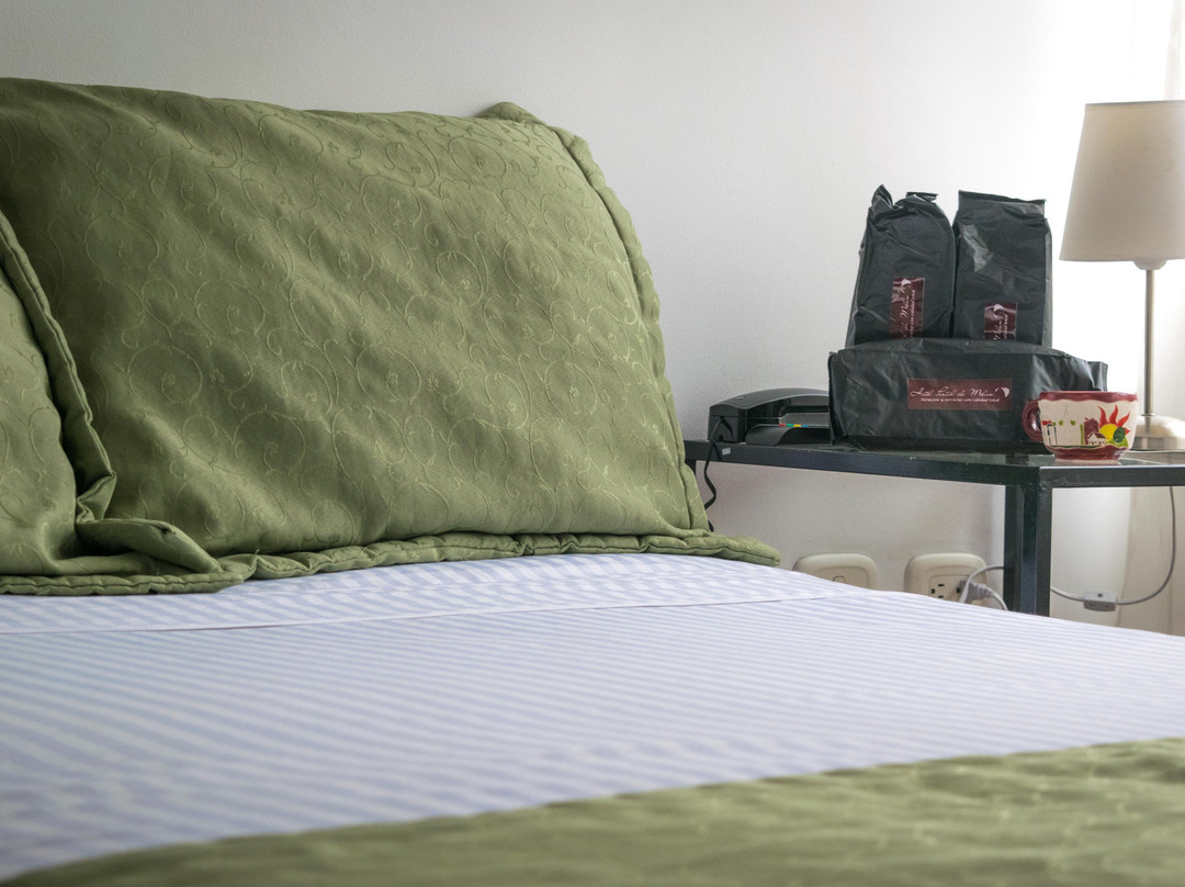 Hotel Portal de Milán主图