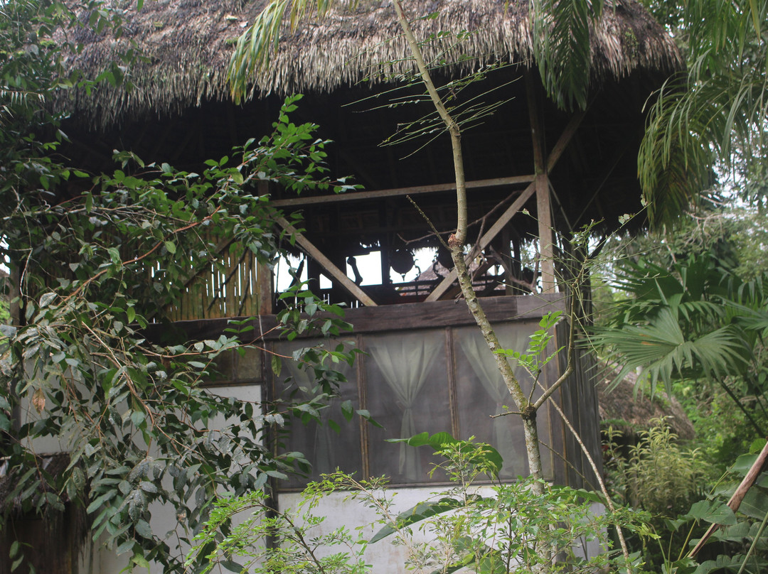 France Amazonia主图