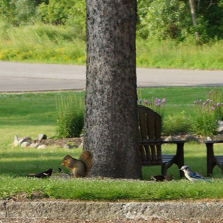 Triangle Motel主图