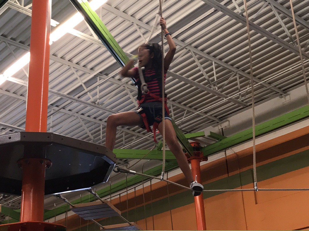 Little Java's Family Fun Center-韦斯顿必去景点