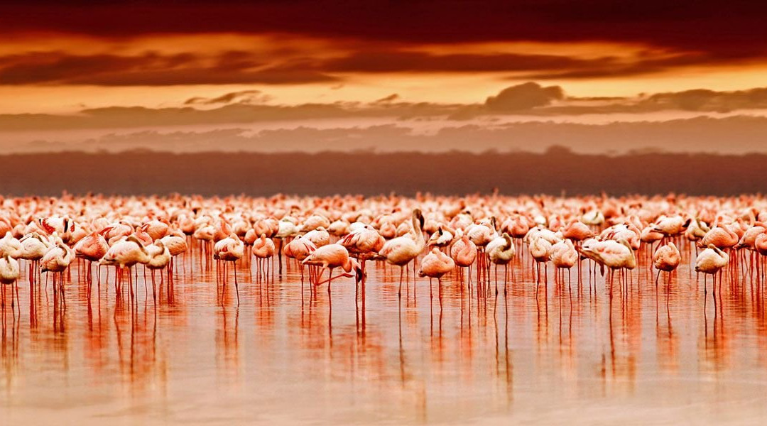 OutlookAfrika-乞力马扎罗山国家公园必去景点