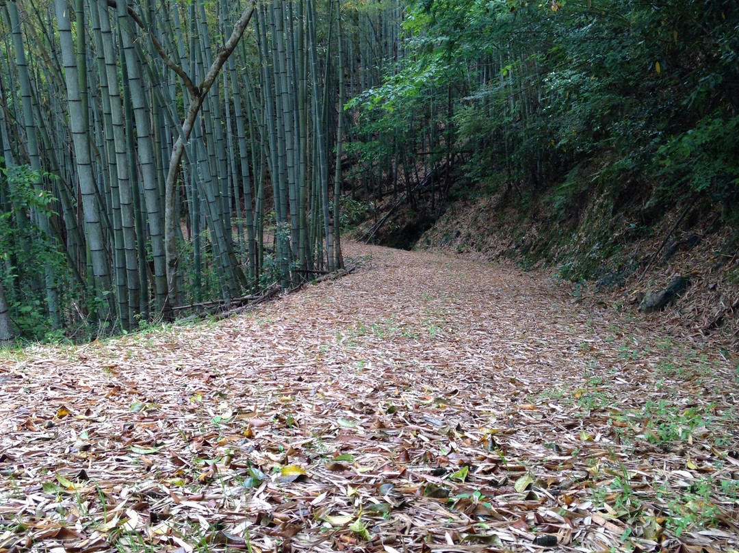Sakamoto Ryoma Dappan no Michi-大洲市必去景点
