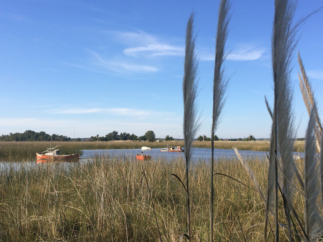 Parque Lecocq-蒙得维的亚必去景点