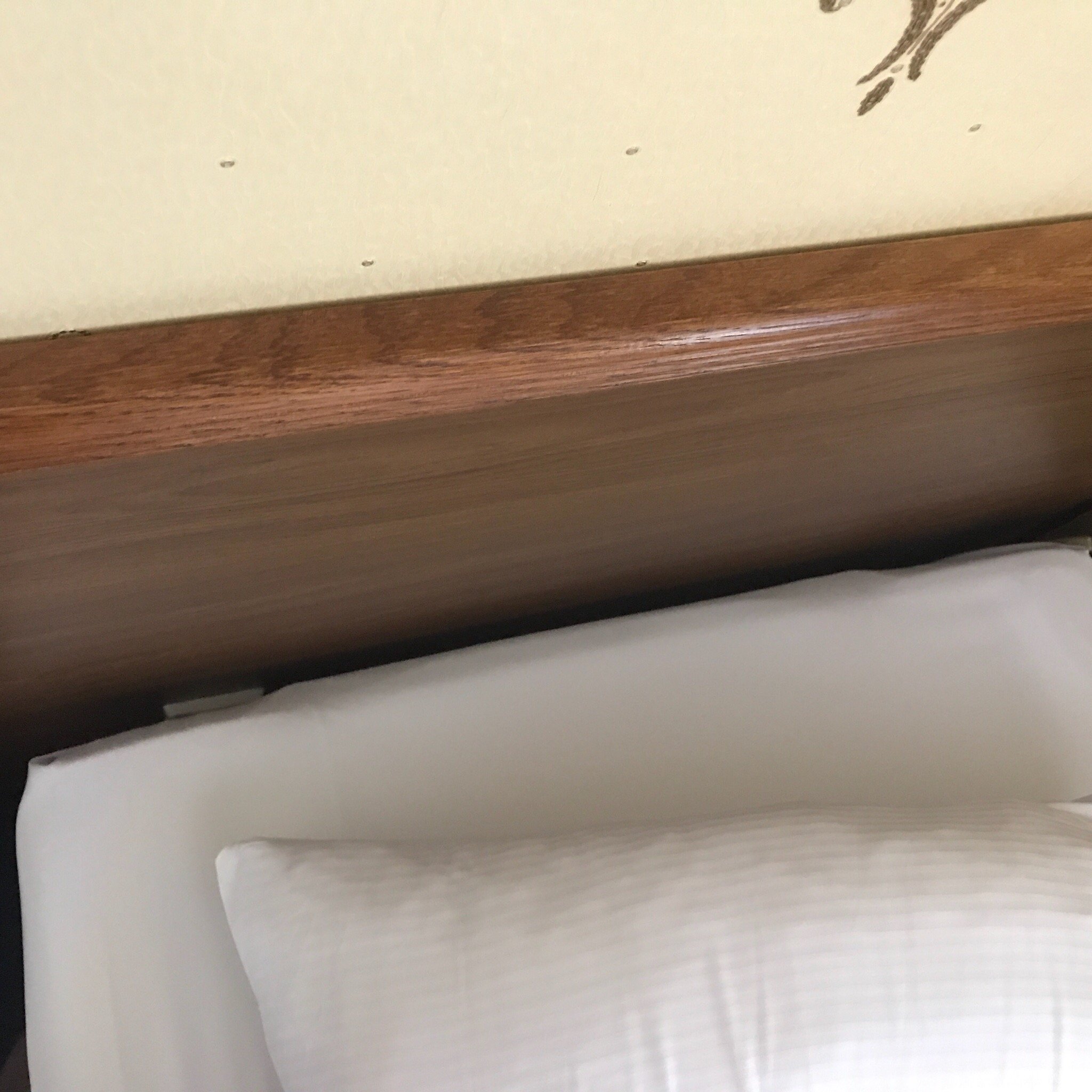 Hotel Chopin-官方