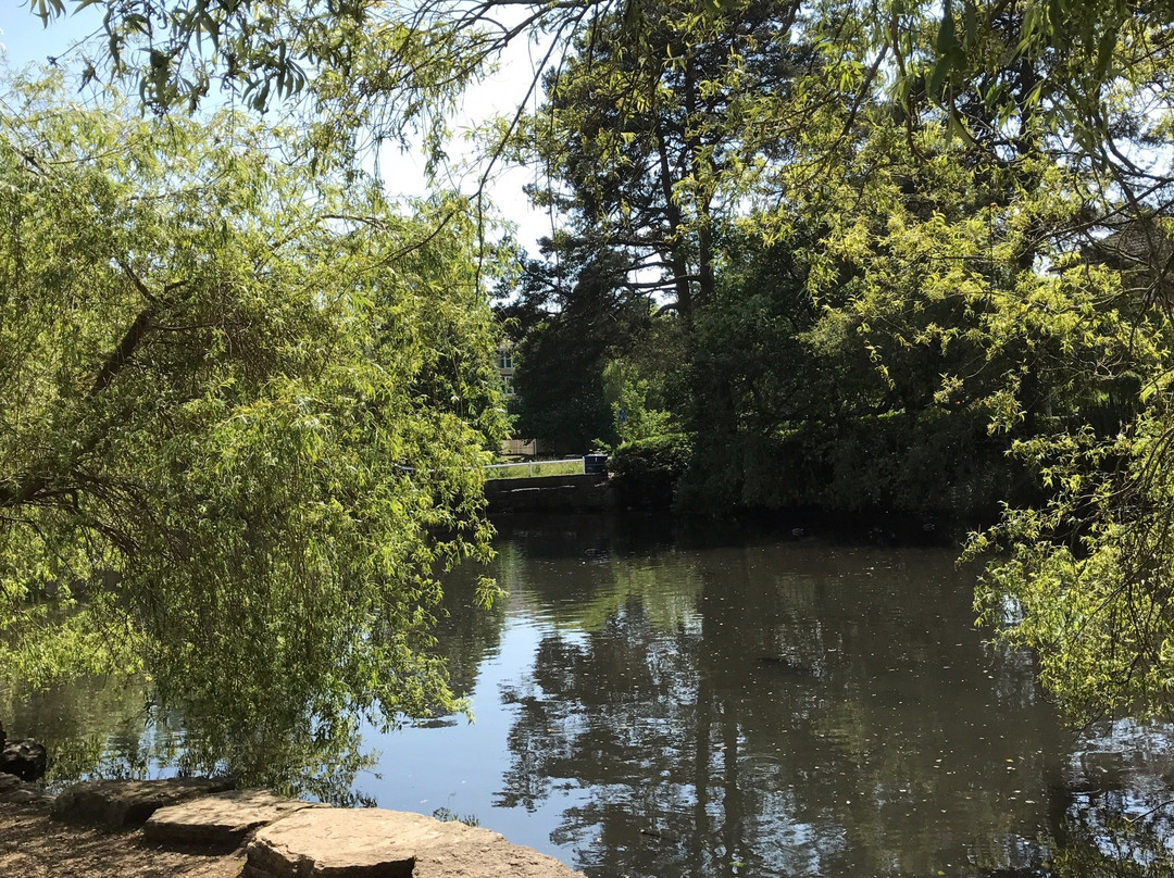 Coy Pond Gardens景点图片