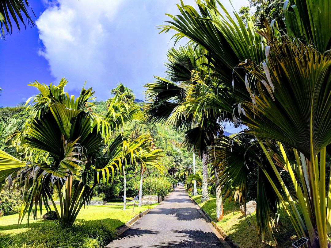 Seychelles National Botanical Gardens景点图片