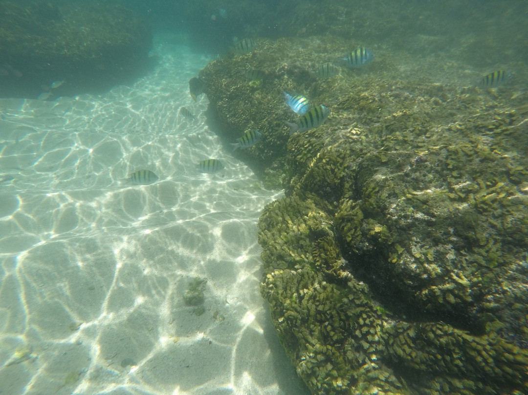 Cannery Beaches-卡波圣卢卡斯必去景点
