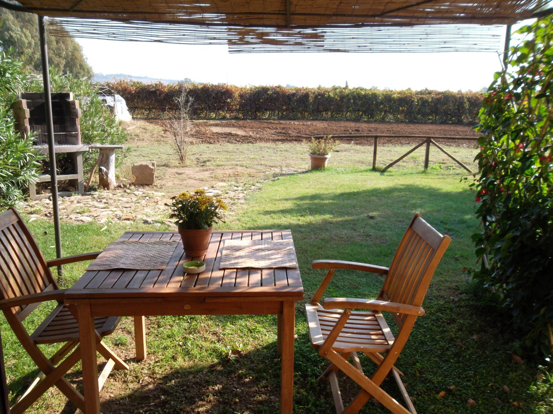 Agriturismo Sicomoro主图