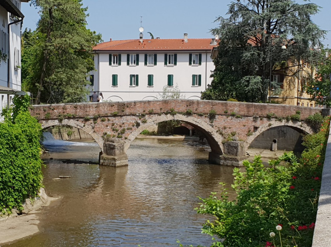 Ponte di San Gerardo景点图片