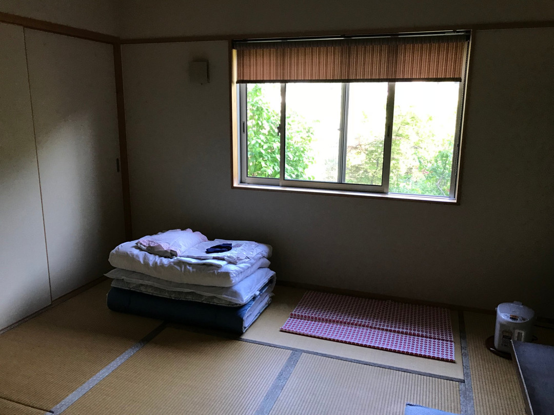 Uemura主图