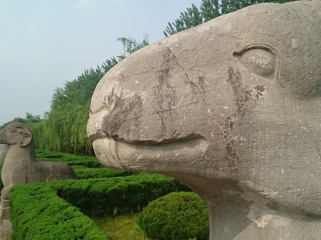 凤阳明皇陵-凤阳县必去景点