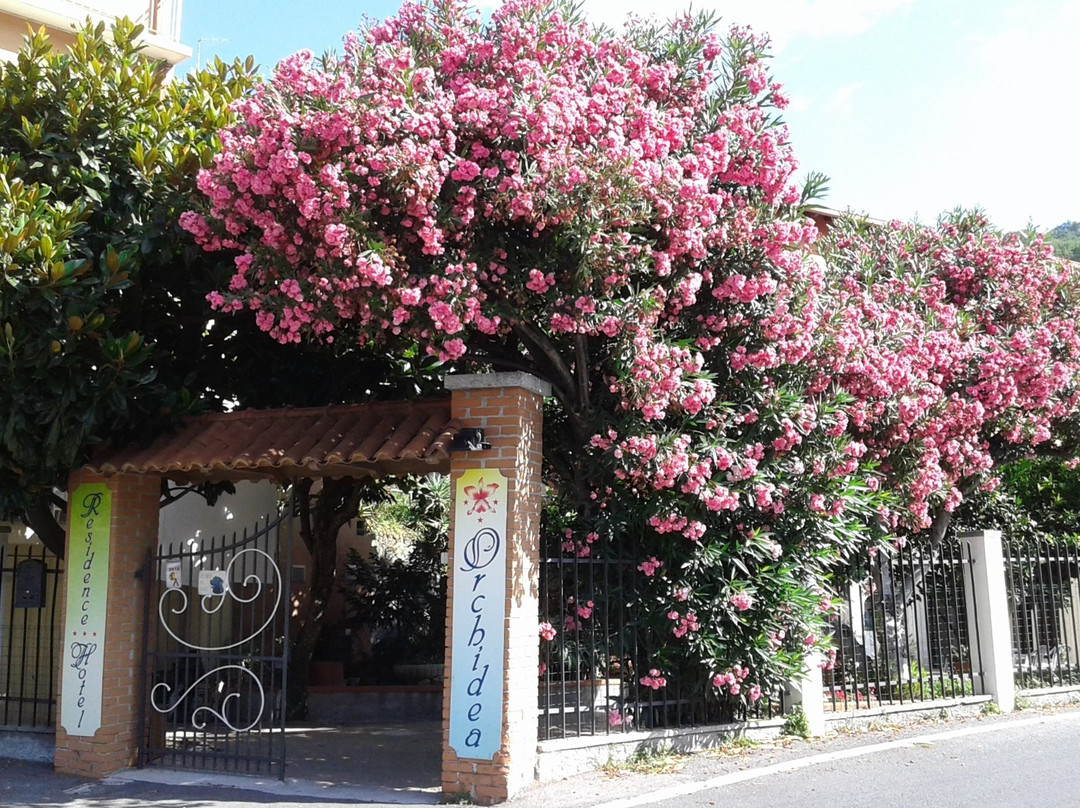 Orchidea Residence Hotel主图