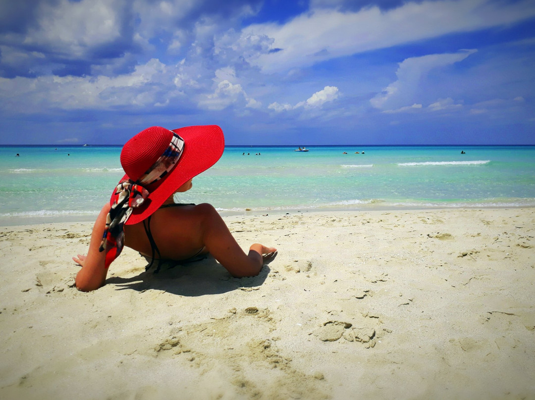 Starfish Las Palmas主图