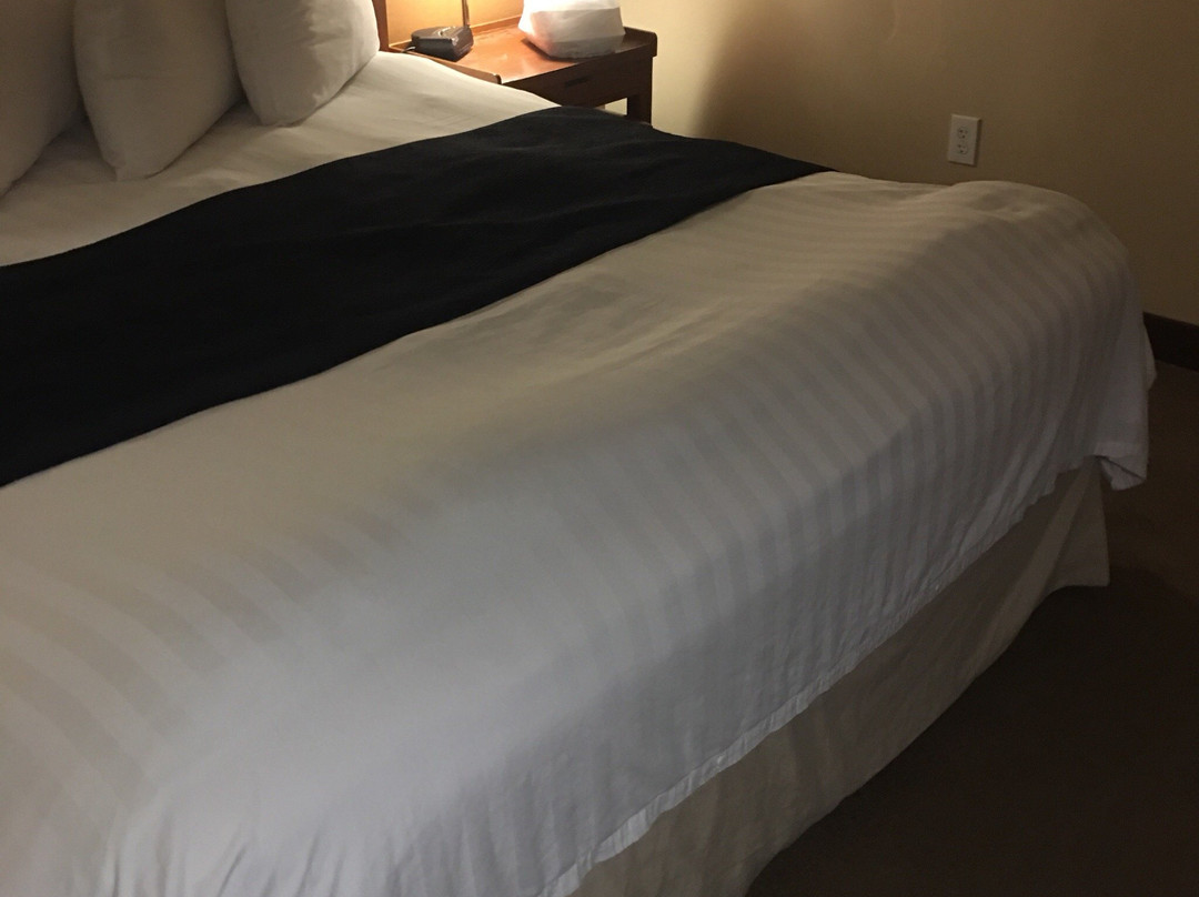 喜来登酒店华盛顿北酒店主图