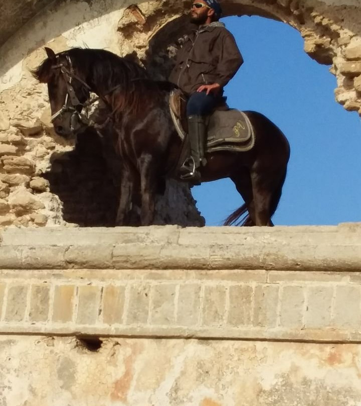 Horseriding with Atman景点图片