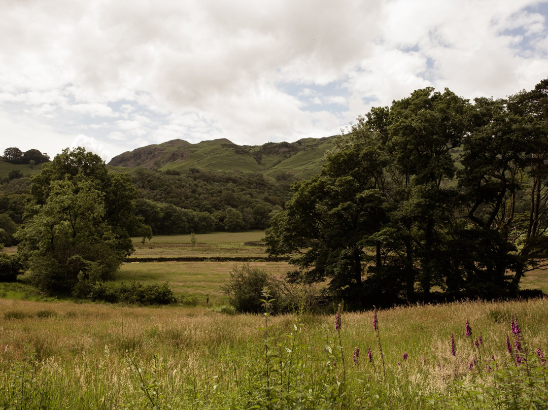 Lancrigg - Wordsworths Woodland Walks景点图片