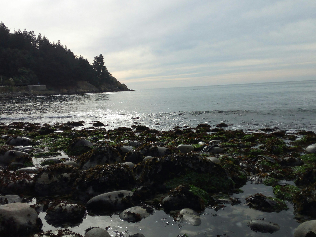 Playa Coliumo-Tome必去景点