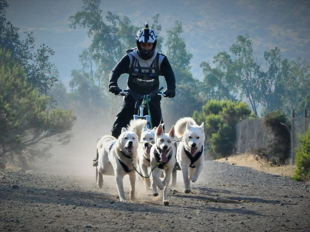 Husky Point-Curacautin必去景点