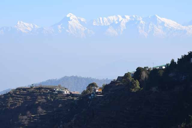 Pailaaag orchard & Restaurant主图