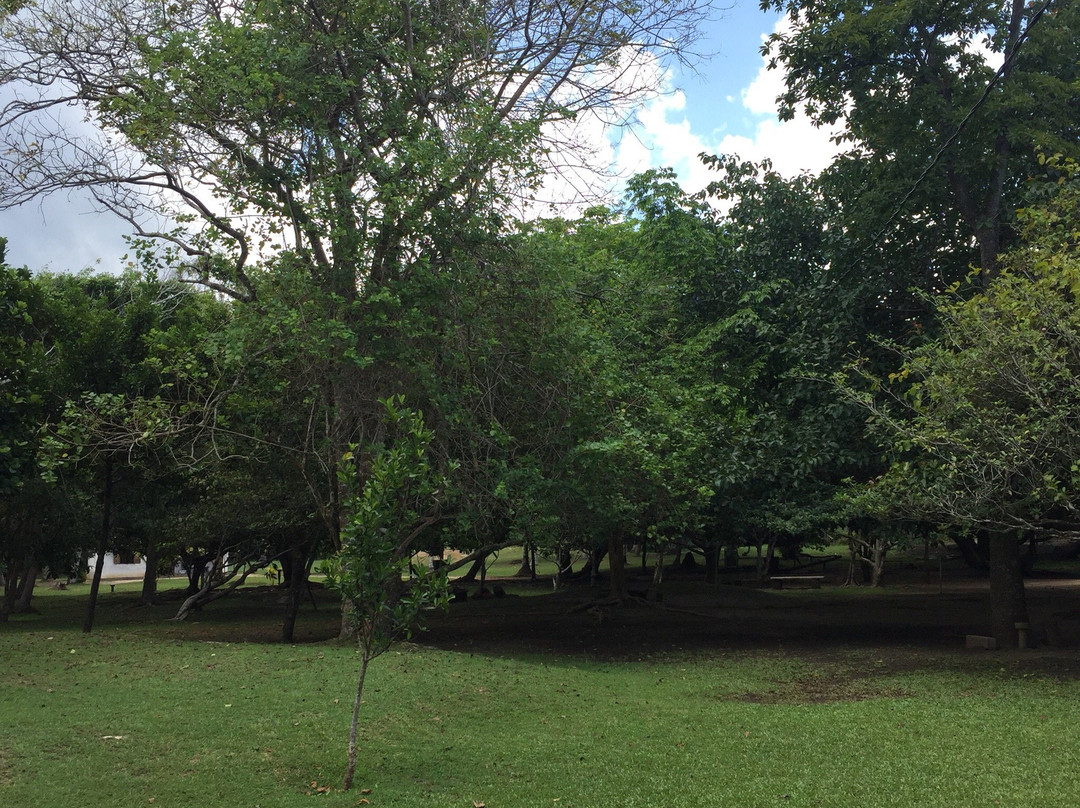 Martin Wickramasinghe Folk Museum Complex景点图片