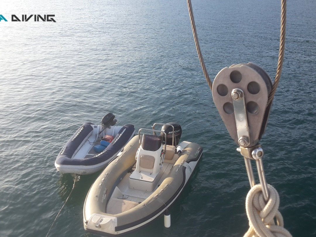 Luna Diving-拉威必去景点