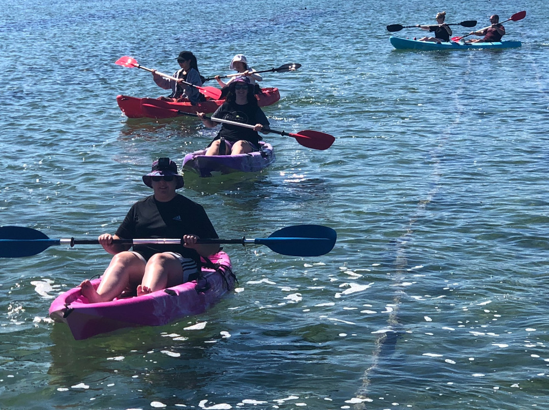 Coffin Bay Boat, Water & Bike Hire景点图片