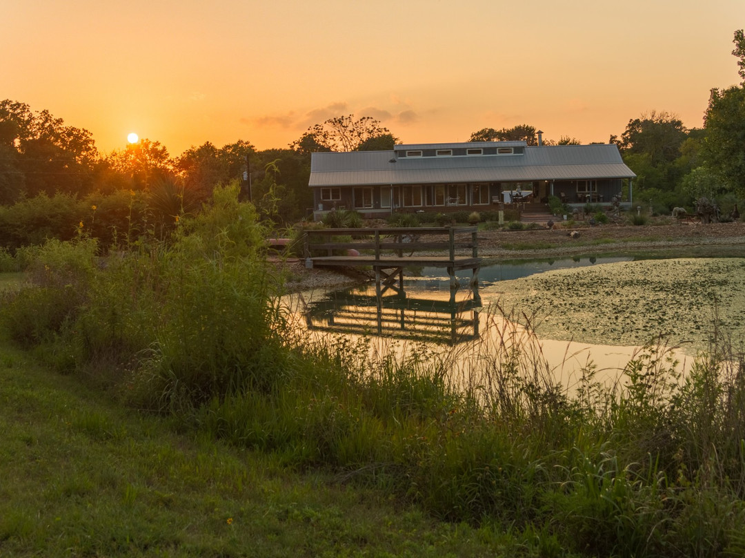 Elisa's Sunday Haus主图