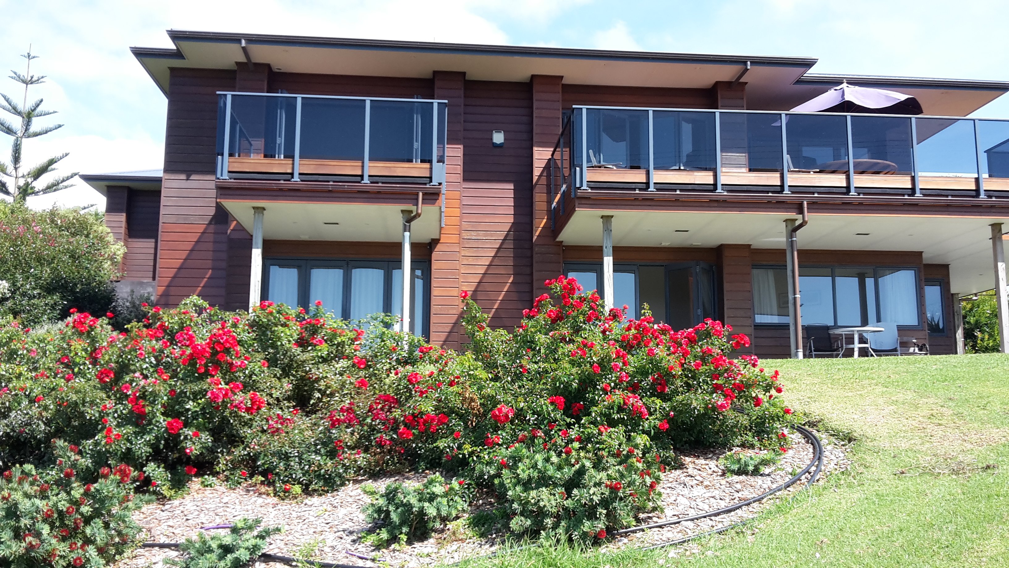 Aurora Lodge Bed & Breakfast-官方
