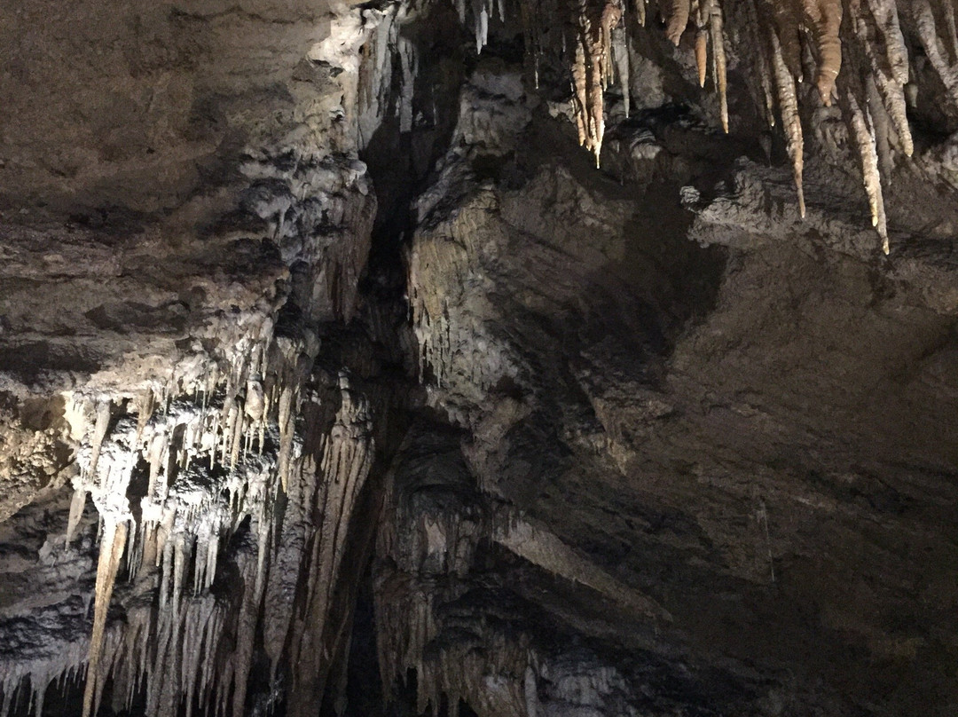 Gunns Plains旅游攻略图片