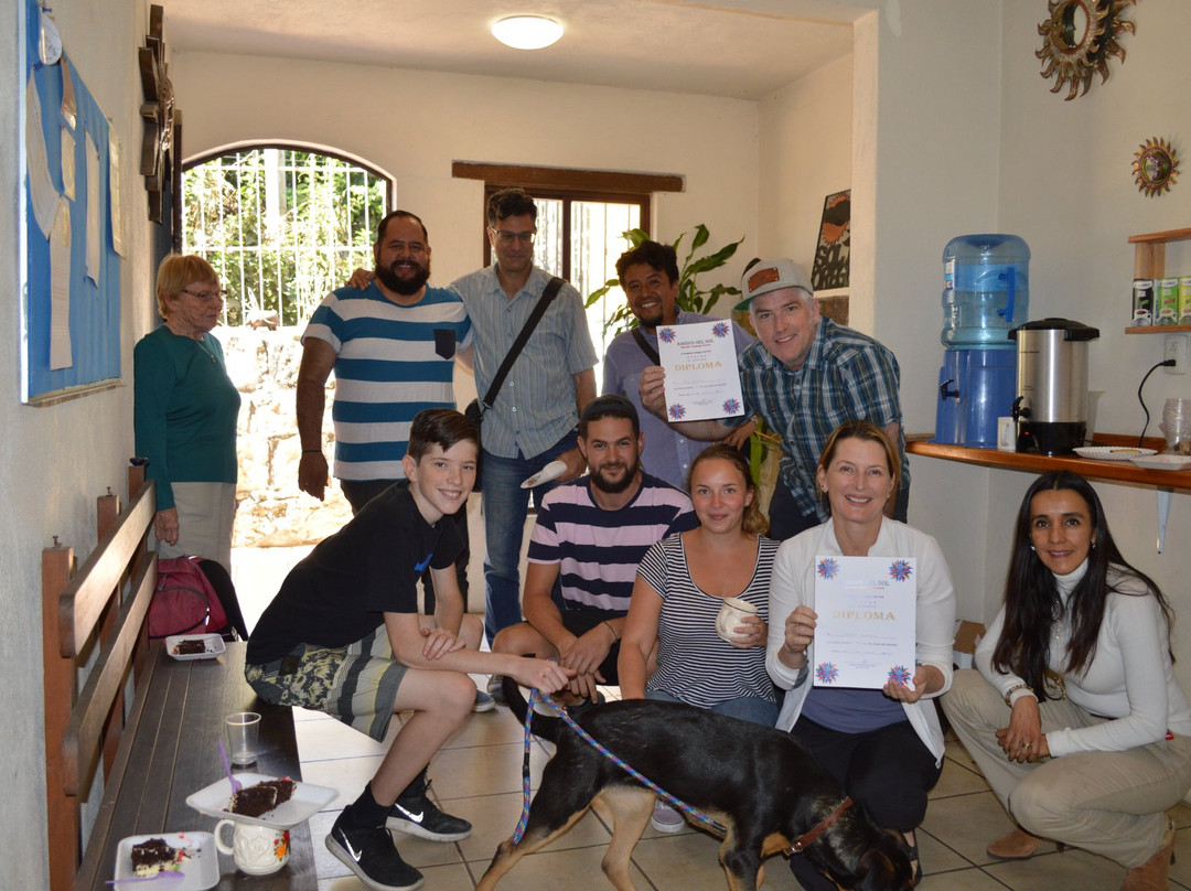Amigos del Sol Spanish School景点图片