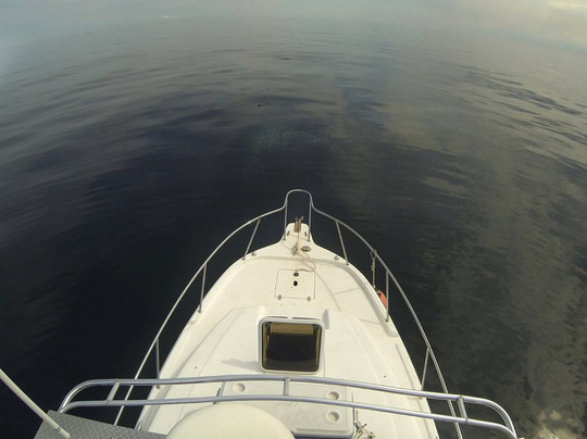 Off Duty Dive Charters-华尔顿堡滩必去景点