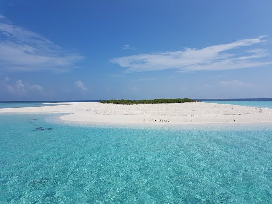 Detour Beach View-泳池