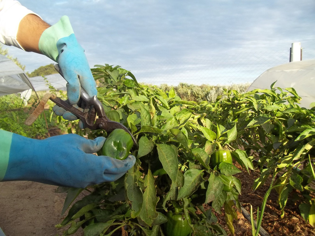 Santa Rosa酒店住宿-La Campina Club Hotel & Spa