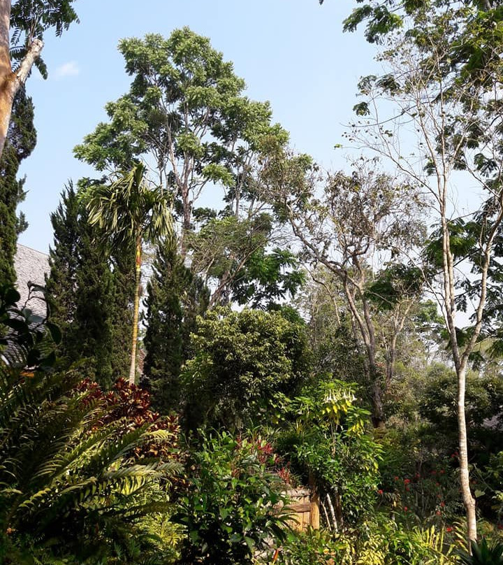 32 Coffee Hill & Resort主图