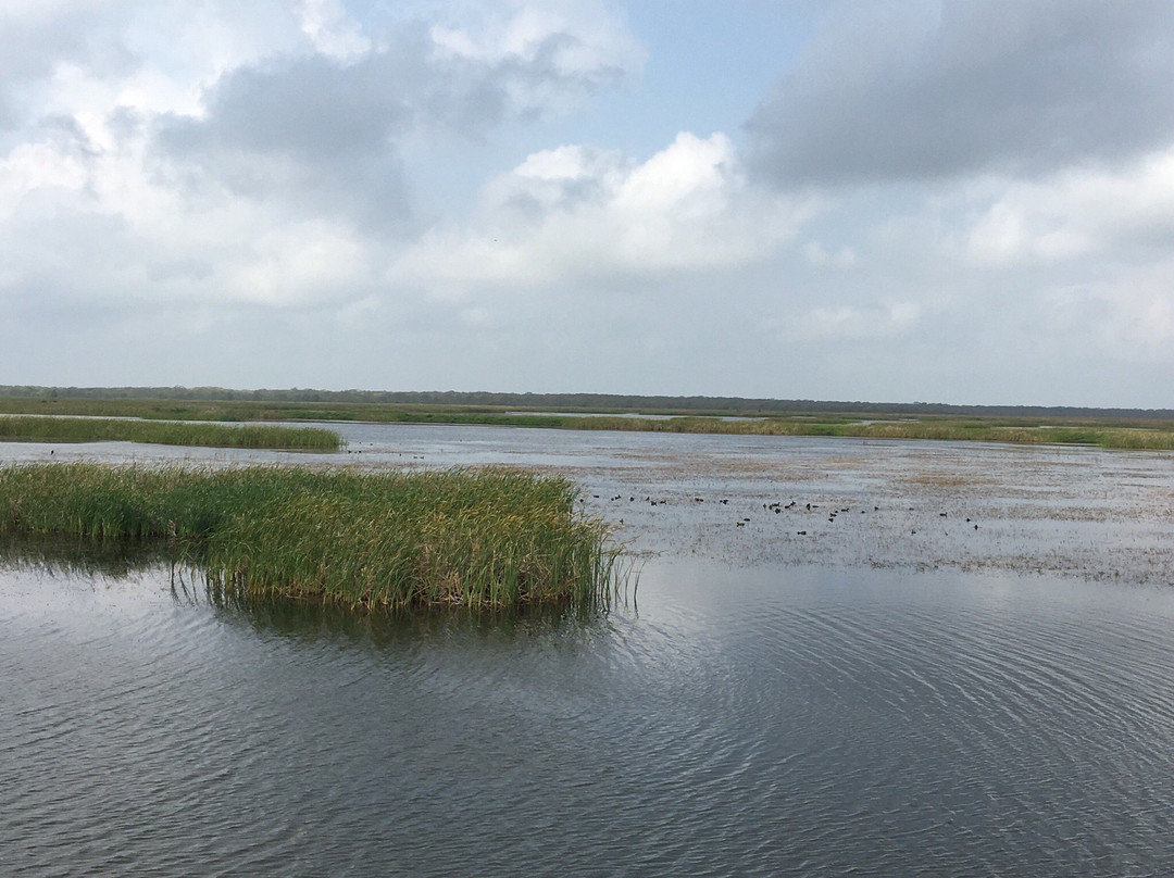 San Bernard National Wildlife Refuge-Brazoria必去景点