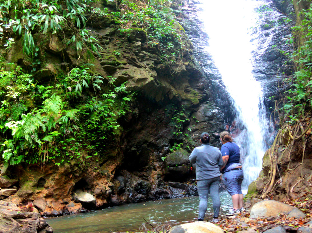 Catarata Los Murcielagos - Monteverde Waterfall景点图片