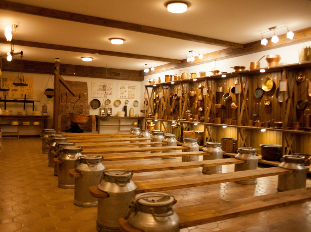 Museum Istoricheskaya Syrovarnya景点图片