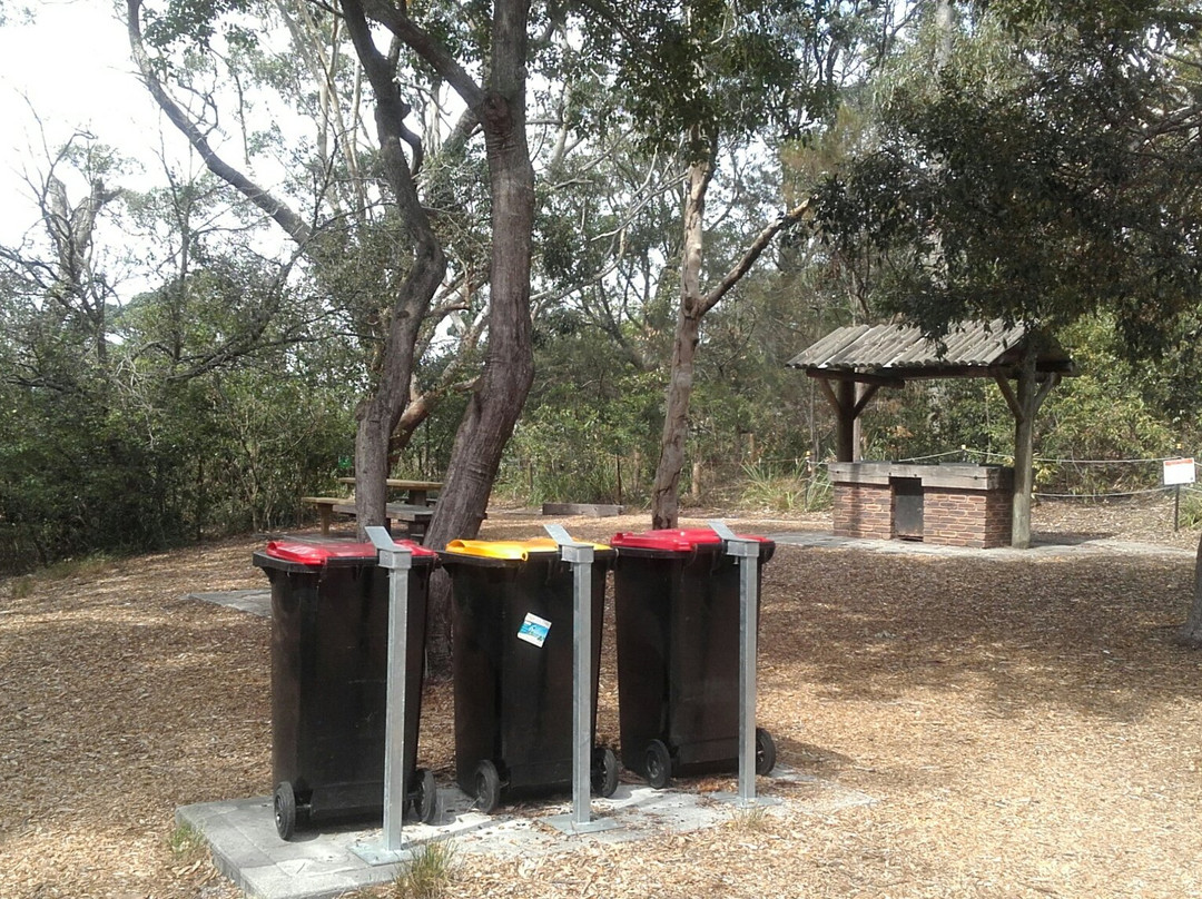 Balls Head Reserve景点图片