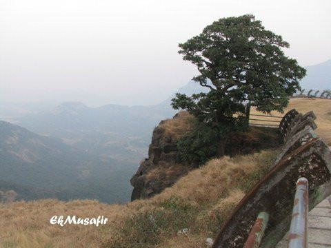 MTDC Malshej Ghat主图