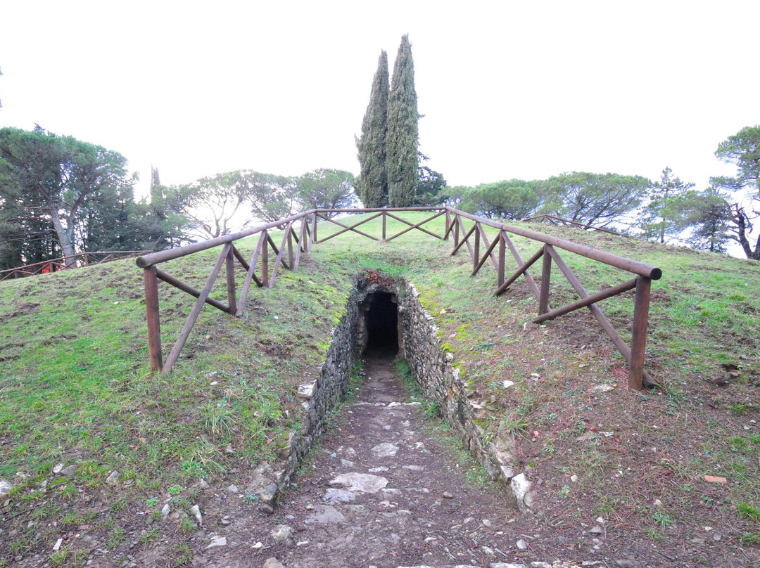 Tombe Etrusche a Montecalvario-卡斯特利纳－因基安蒂必去景点