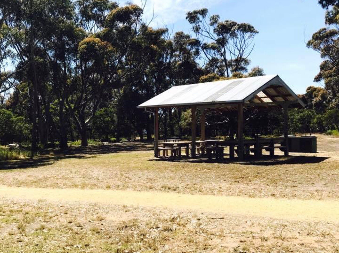 Taylor Park-托基必去景点