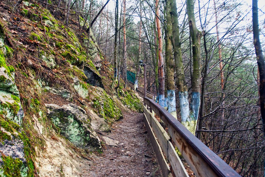 Kryvche旅游攻略图片