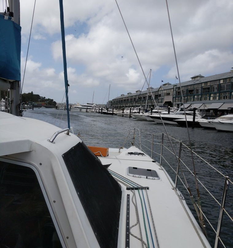 Sydney Catamaran Cruises景点图片