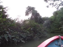 Zancudo Boat Tours景点图片