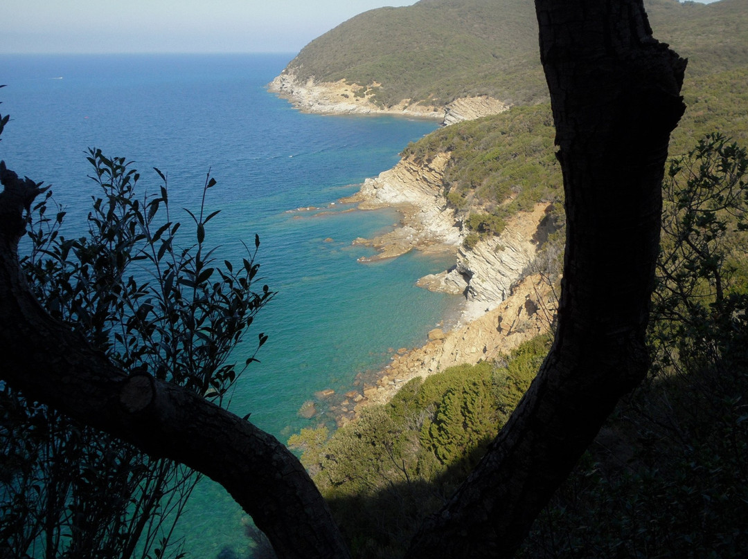 Tuscany Hiking-皮斯托亚必去景点