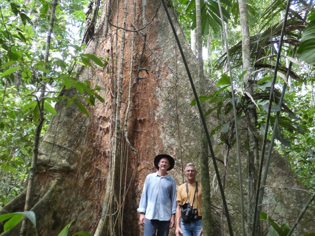 Reserva de Biosfera y Tierra Comunitaria de Origen Pilón Lajas-Beni Department必去景点