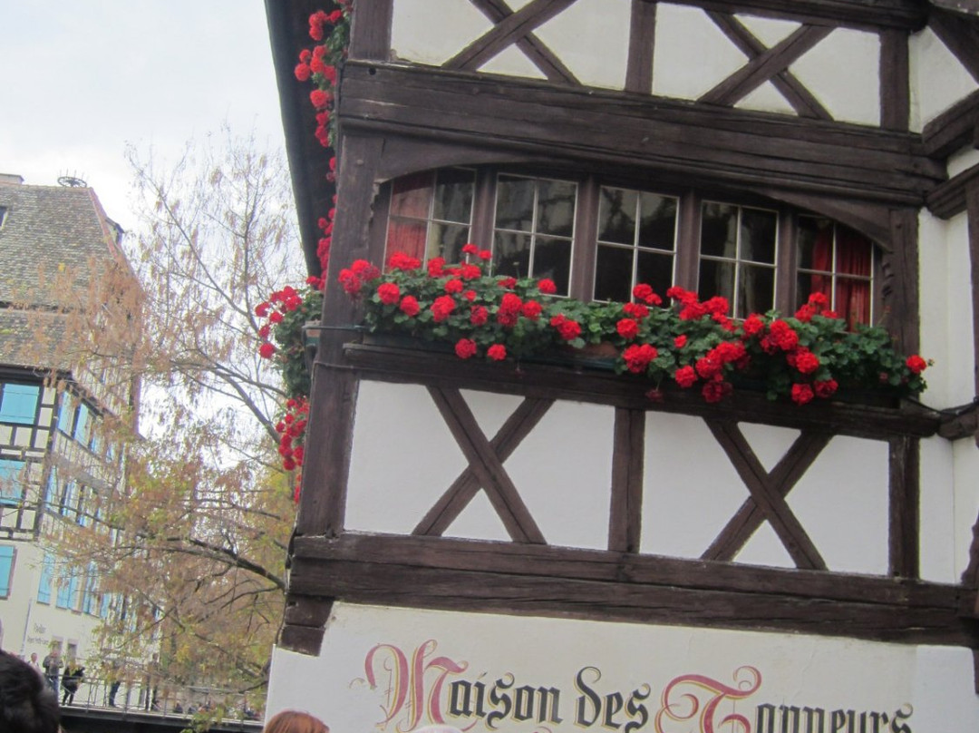 The Little tourist train of Strasbourg-斯特拉斯堡必去景点