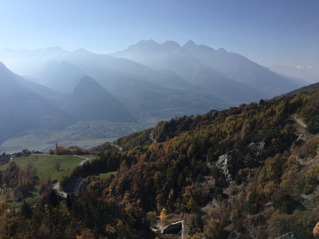 Arboretum Pierre Louis Vescoz景点图片
