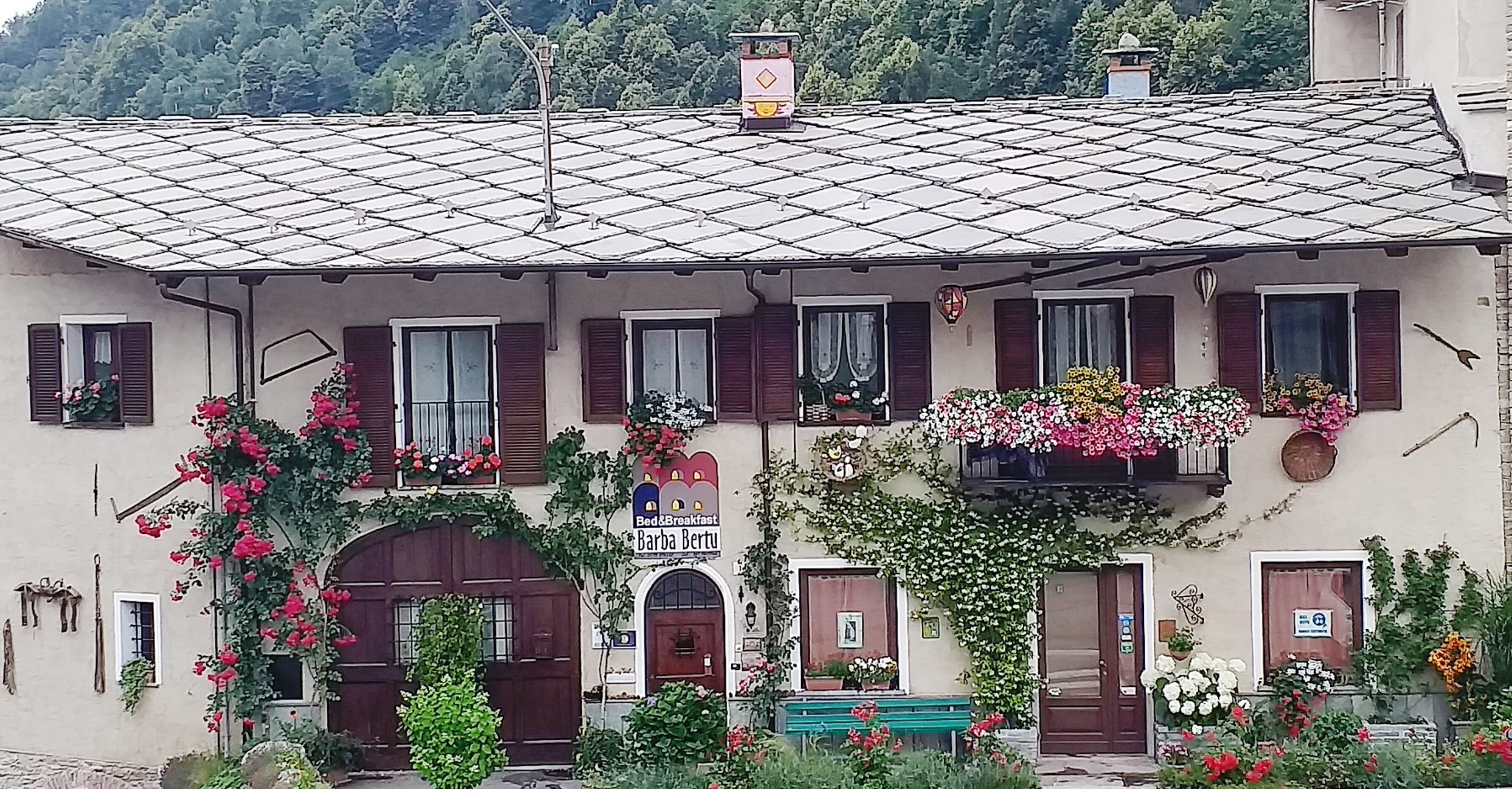 Bed & Breakfast Barba Bertu-官方